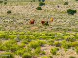 10715 High Butte Drive - Photo 12
