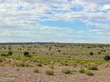 10715 High Butte Drive - Photo 14