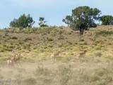 10715 High Butte Drive - Photo 2