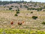 10715 High Butte Drive - Photo 4