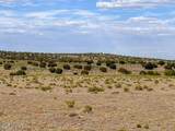 10715 High Butte Drive - Photo 6