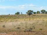 10715 High Butte Drive - Photo 7