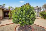 5002 Blanche Drive - Photo 31