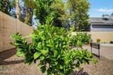 5002 Blanche Drive - Photo 44