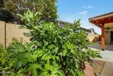 5002 Blanche Drive - Photo 45