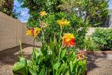 5002 Blanche Drive - Photo 46