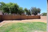 43671 Knauss Drive - Photo 46