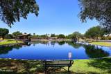 43671 Knauss Drive - Photo 51