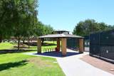 43671 Knauss Drive - Photo 53