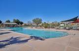 43671 Knauss Drive - Photo 55