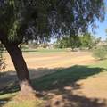 4733 Continental Drive - Photo 23