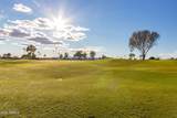 10606 Campana Drive - Photo 42