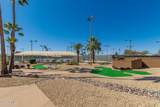 10606 Campana Drive - Photo 45