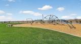 38048 Hackberry Street - Photo 40