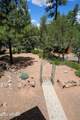 3664 Mistletoe Drive - Photo 19