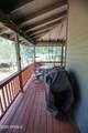 3664 Mistletoe Drive - Photo 22