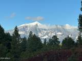 3755 Strawberry Roan - Photo 44