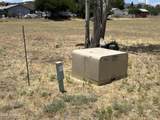 18628 Joseph Hodge Road - Photo 19