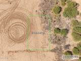 12089 Los Ranchos Drive - Photo 13