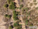 12089 Los Ranchos Drive - Photo 15