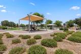 18456 Ibis Way - Photo 46