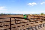 501 Saguaro Drive - Photo 56