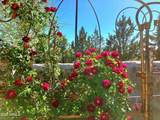 624 Baker Ranch Road - Photo 80
