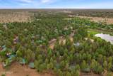 2722 High Pine Loop - Photo 26