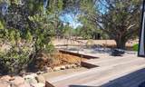 161 Cattle Drive - Photo 11