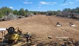 161 Cattle Drive - Photo 14
