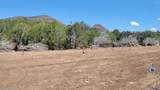 161 Cattle Drive - Photo 15
