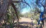 161 Cattle Drive - Photo 16