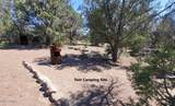161 Cattle Drive - Photo 19