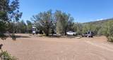 161 Cattle Drive - Photo 5