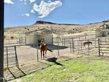 11600 Cowboy Trail - Photo 14