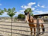 11600 Cowboy Trail - Photo 15