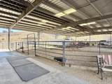 11600 Cowboy Trail - Photo 71