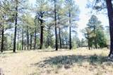 3235 Tehama Circle - Photo 4