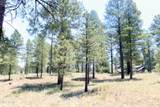 3235 Tehama Circle - Photo 6