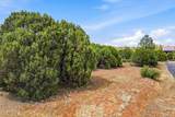 2323 Kitfox Circle - Photo 13