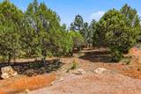2323 Kitfox Circle - Photo 14