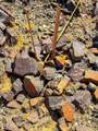 0 Brazilwood Lot 4 (1.92 Acres) - Photo 12