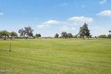11069 Kilarea Avenue - Photo 29