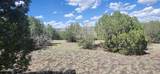 393 Edgewood Drive - Photo 5