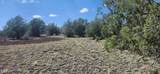 393 Edgewood Drive - Photo 6