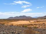 O Brazilwood Lot 5 (1.92 Acres) - Photo 5