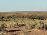 Lot 445 Carrizo Ranch - Photo 9