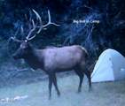 918 Wolf Road - Photo 10