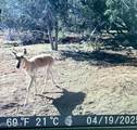 918 Wolf Road - Photo 15