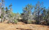 918 Wolf Road - Photo 5